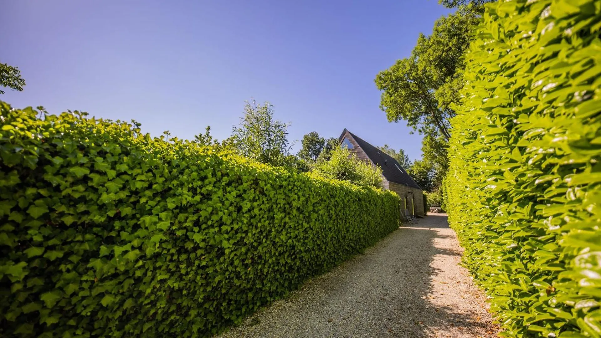 Superb 90M2 Apartment With Garden - Ks8A Eindhoven Nizozemsko